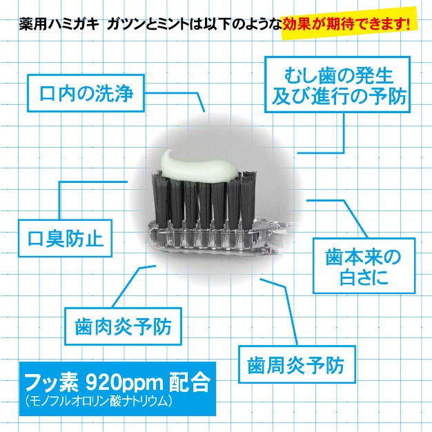 LAPIS ガツンとミント 薬用ハミガキGM