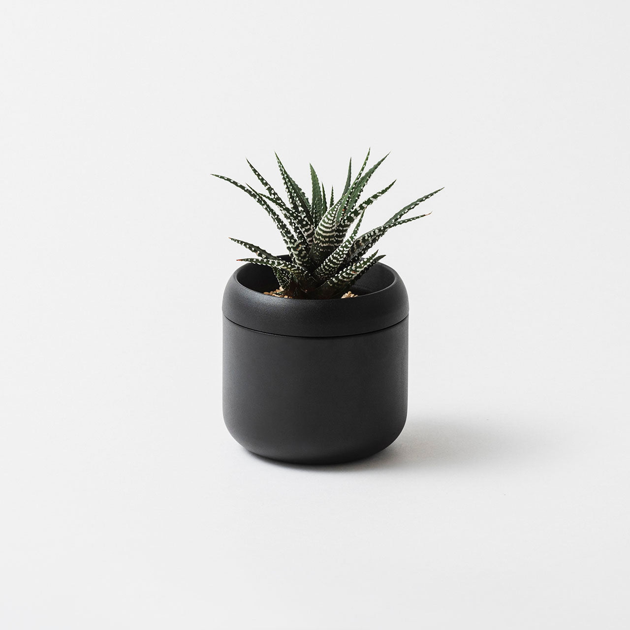 FUJITA KINZOKU 藤田金屬 Plant Pot 植物盆 HACHI