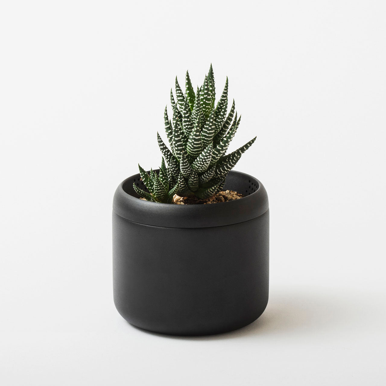 FUJITA KINZOKU 藤田金屬 Plant Pot 植物盆 HACHI